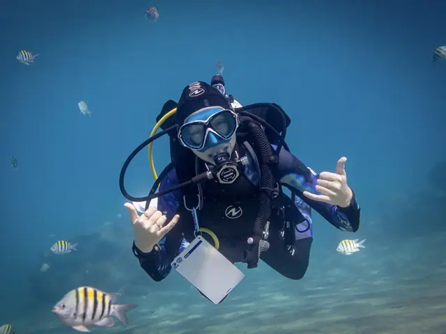 Divemaster encadrant une plongée