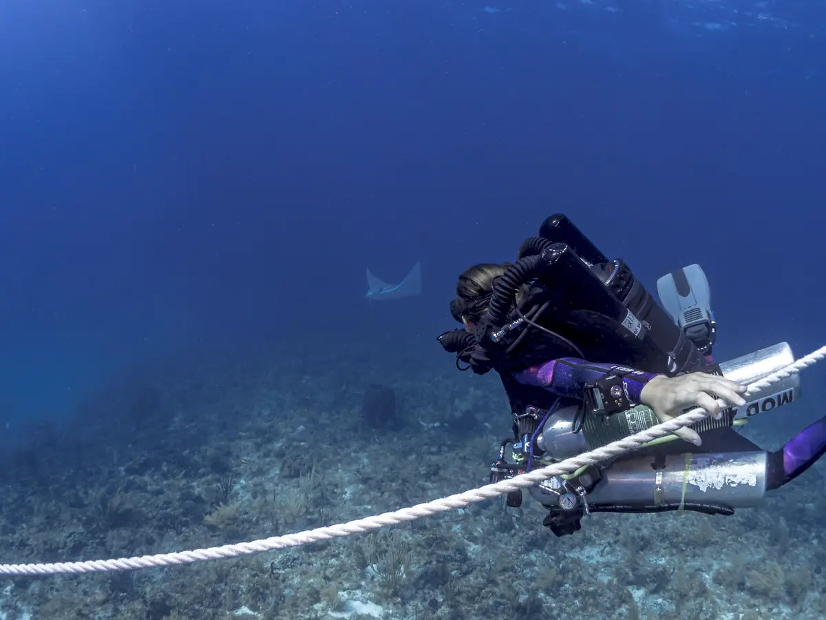 Plongée adaptée Scubility le long d'un bout de guide
