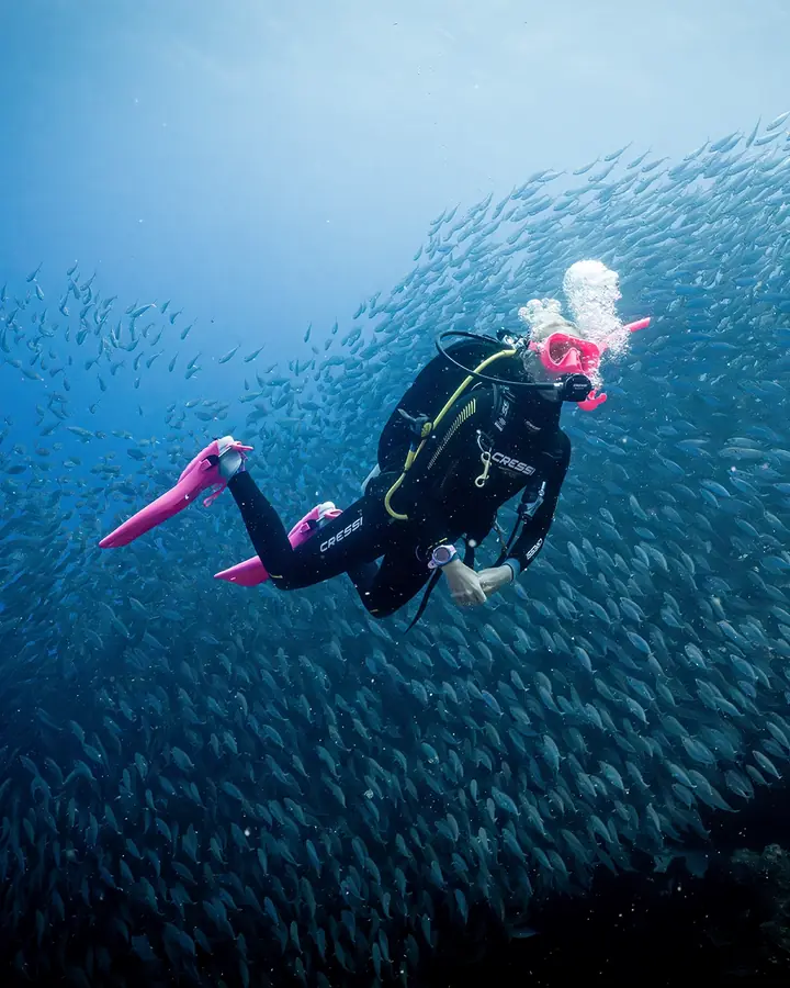 Plongeur loisir au milieu d'un banc de poissons